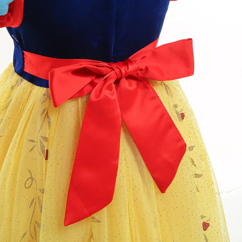 Fantasia Branca de Neve Luxo bordado