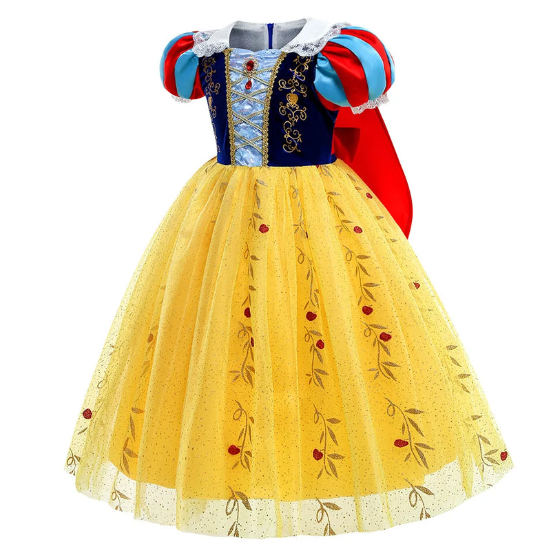 Fantasia Branca de Neve Luxo bordado